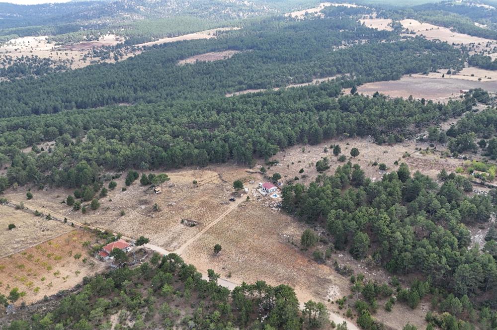 PAMUKKALE GÜZELPINAR'DA 10300 m² SATILIK TARLA