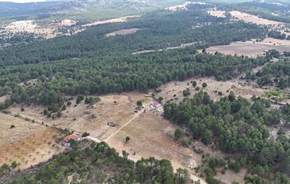 PAMUKKALE GÜZELPINAR'DA 10300 m² SATILIK TARLA