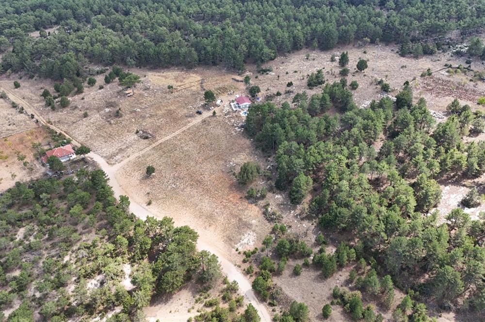 PAMUKKALE GÜZELPINAR'DA 10300 m² SATILIK TARLA