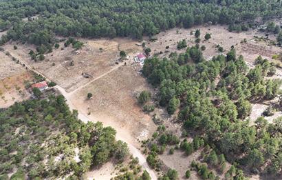 PAMUKKALE GÜZELPINAR'DA 10300 m² SATILIK TARLA