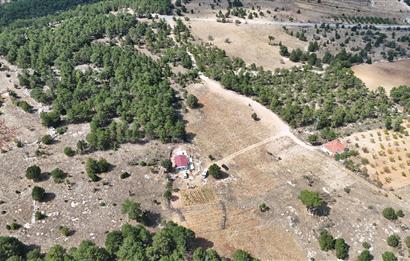 PAMUKKALE GÜZELPINAR'DA 10300 m² SATILIK TARLA