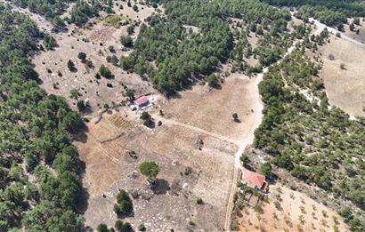 PAMUKKALE GÜZELPINAR'DA 10300 m² SATILIK TARLA