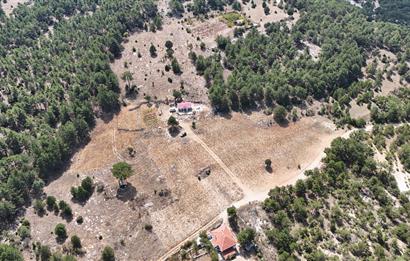 PAMUKKALE GÜZELPINAR'DA 10300 m² SATILIK TARLA