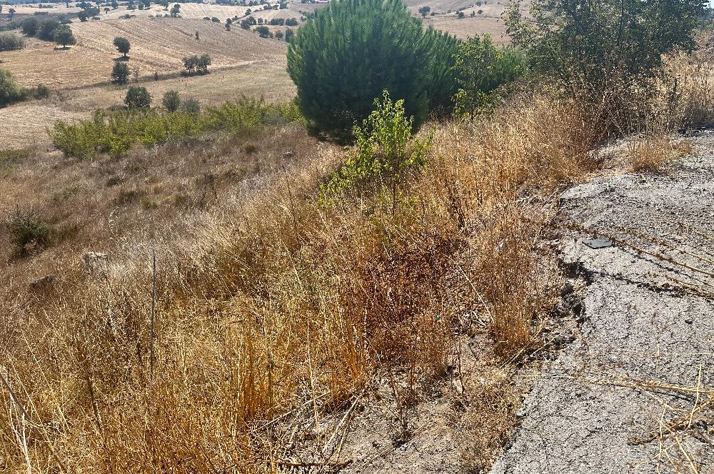 Balıkesir- Edremit Ana Yoluna 102 mt. Cephesi Olan Satılık Tarla 