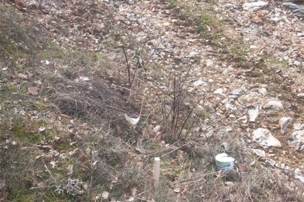 Kırklareli Dereköy 1.186 m2 Doğa Manzaralı Satılık Arsa