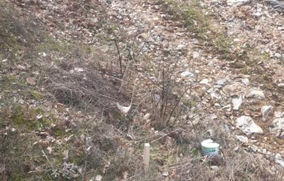 Kırklareli Dereköy 1.186 m2 Doğa Manzaralı Satılık Arsa