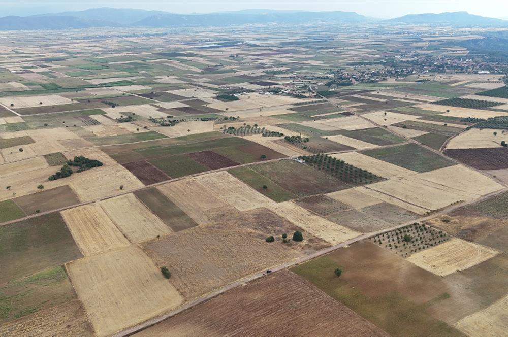 Denizli Tavas sofular mahallesinde satılık tarla 