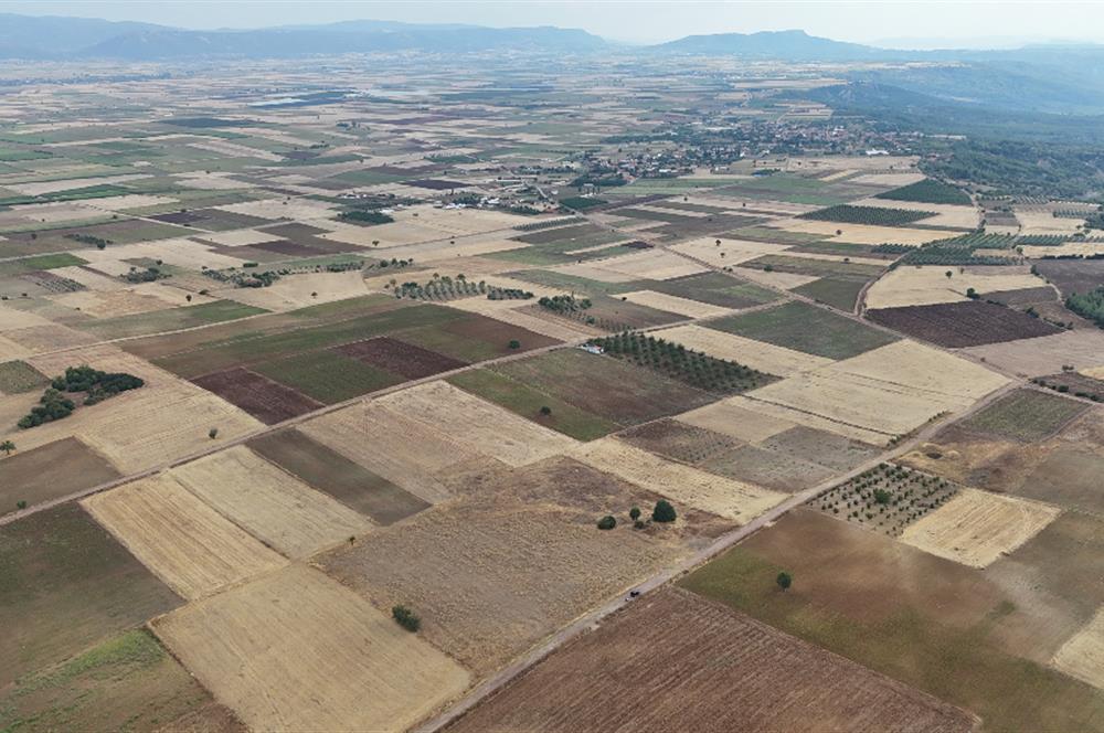 Denizli Tavas sofular mahallesinde satılık tarla 