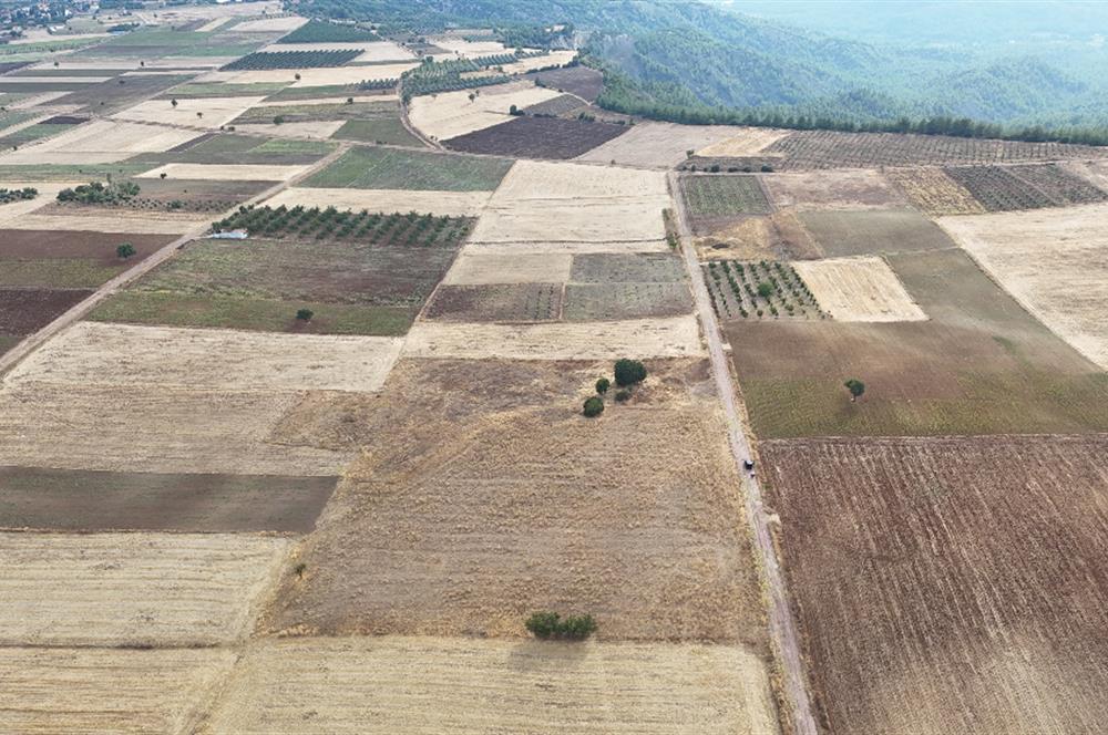 Denizli Tavas sofular mahallesinde satılık tarla 