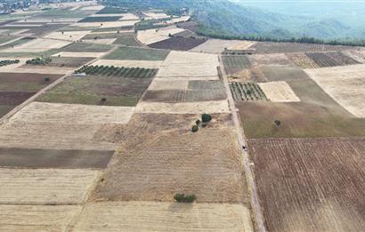 Denizli Tavas sofular mahallesinde satılık tarla 