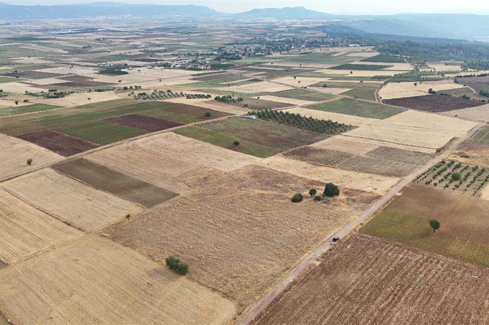 Denizli Tavas sofular mahallesinde satılık tarla 