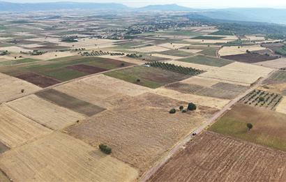 Denizli Tavas sofular mahallesinde satılık tarla 