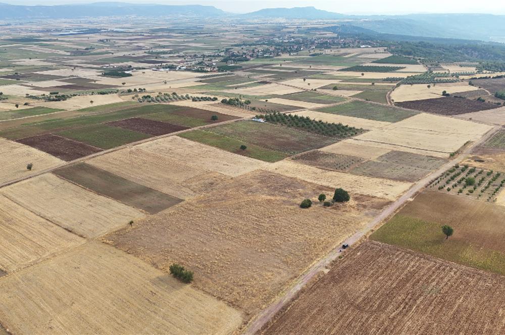 Denizli Tavas sofular mahallesinde satılık tarla 