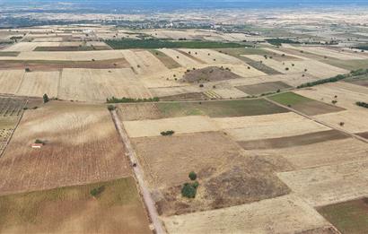 Denizli Tavas sofular mahallesinde satılık tarla 