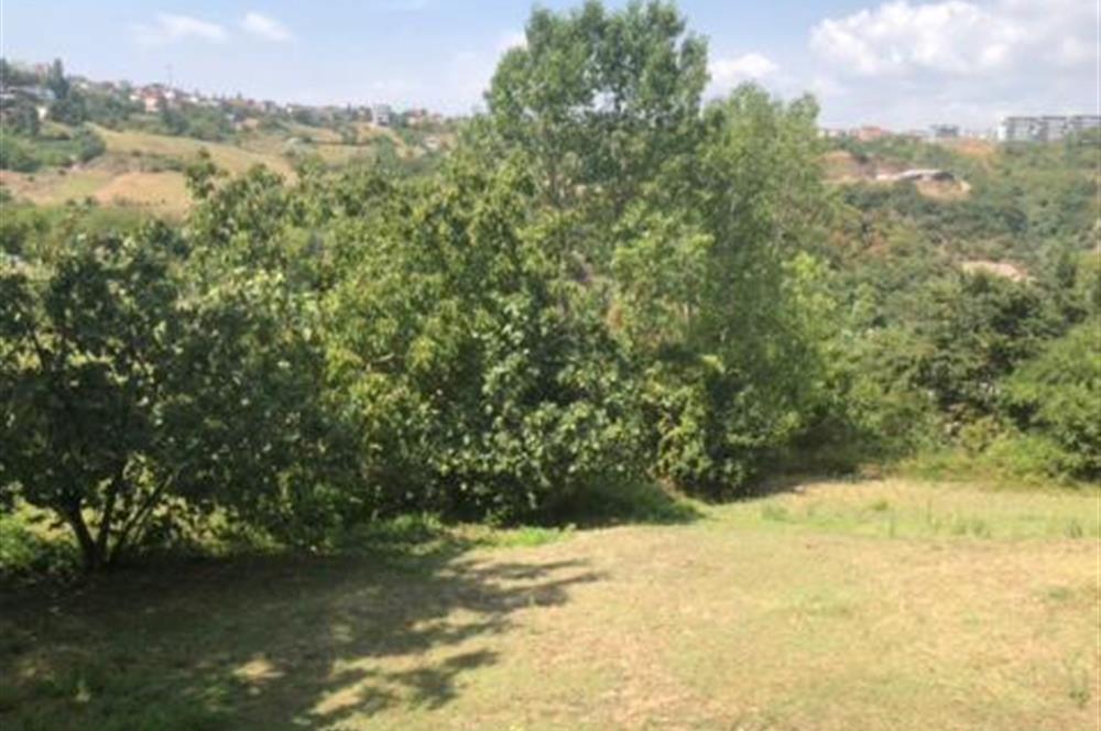 Kocaeli Başiskele Yuvacık 6125m2 Satılık Arazi