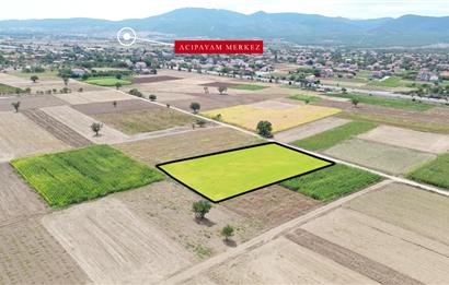 Century 21 Net'ten Acıpayam Alaattin'de 3564 m2 Tarla