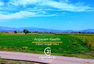 Century 21 Net'ten Acıpayam Alaattin'de 3564 m2 Tarla