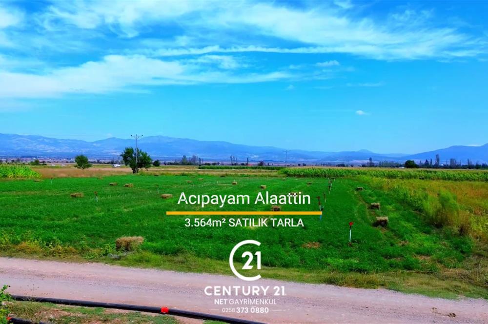 Century 21 Net'ten Acıpayam Alaattin'de 3564 m2 Tarla