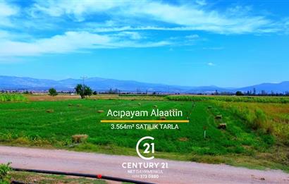 Century 21 Net'ten Acıpayam Alaattin'de 3564 m2 Tarla