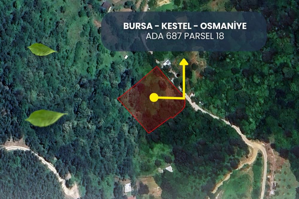 C21 NOVO'DAN SATILIK İMAR'A YAKIN TARLA