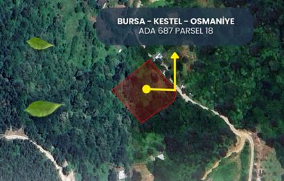 C21 NOVO'DAN SATILIK İMAR'A YAKIN TARLA