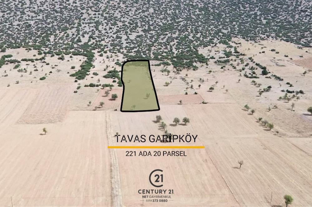 Century 21 Net'ten Garipköyde SATILIK 10.000m² cazip tarla