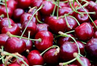 Opportunity! Cherry Orchards for Sale in Seki Village, Eskişehir