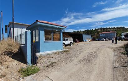 Complete Farm for Sale in Seki Village, Eskişehir