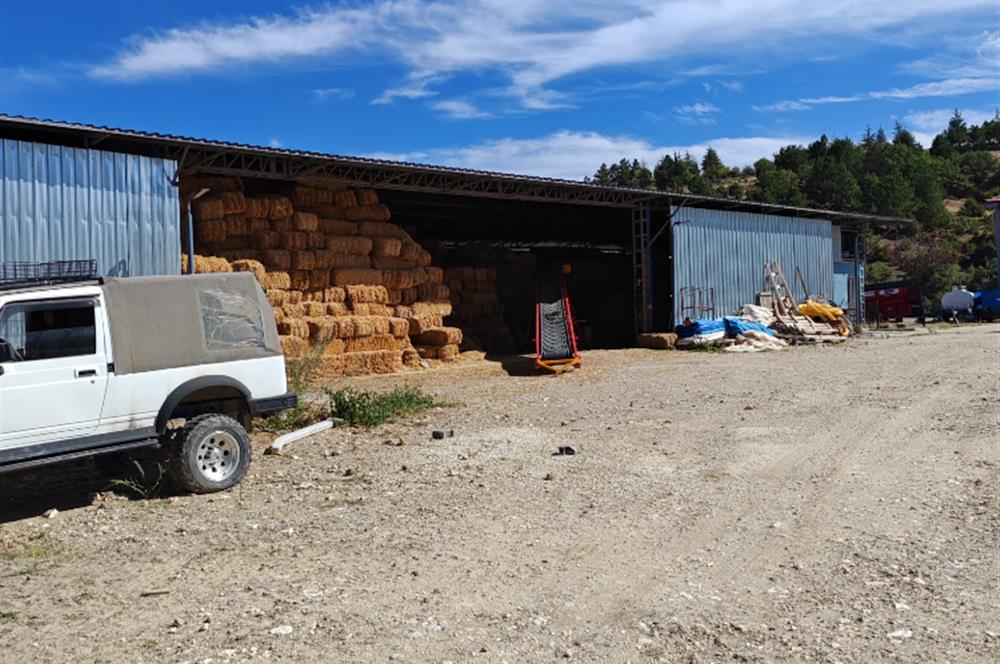 Complete Farm for Sale in Seki Village, Eskişehir