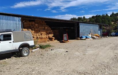 Complete Farm for Sale in Seki Village, Eskişehir