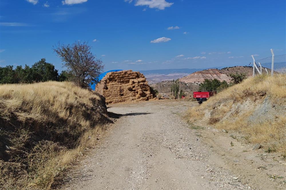 Complete Farm for Sale in Seki Village, Eskişehir