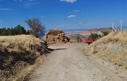 Complete Farm for Sale in Seki Village, Eskişehir