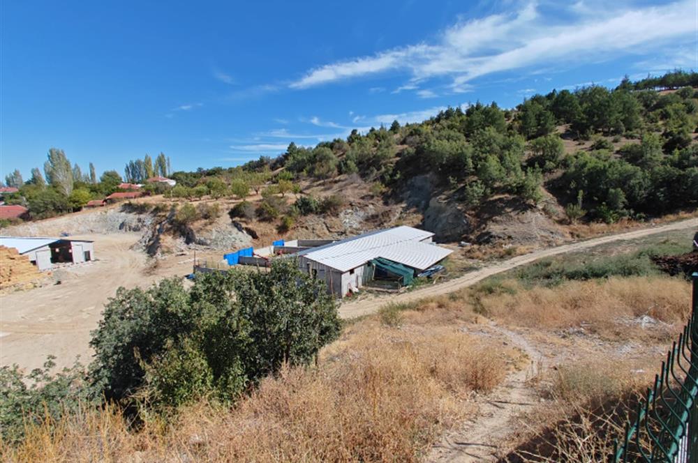 Complete Farm for Sale in Seki Village, Eskişehir