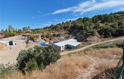 Complete Farm for Sale in Seki Village, Eskişehir