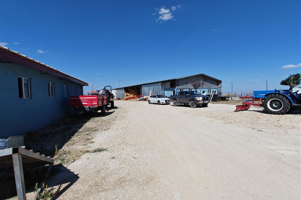 Complete Farm for Sale in Seki Village, Eskişehir