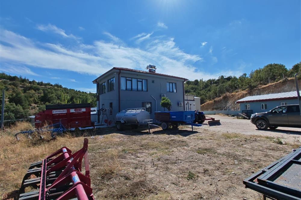 Complete Farm for Sale in Seki Village, Eskişehir