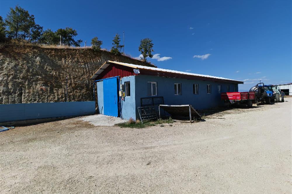 Complete Farm for Sale in Seki Village, Eskişehir