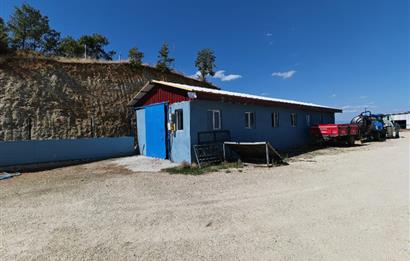 Complete Farm for Sale in Seki Village, Eskişehir