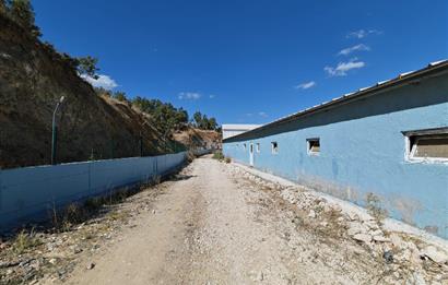 Complete Farm for Sale in Seki Village, Eskişehir