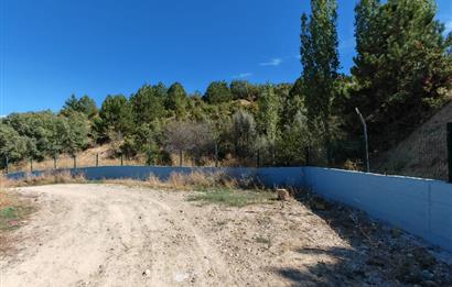 Complete Farm for Sale in Seki Village, Eskişehir