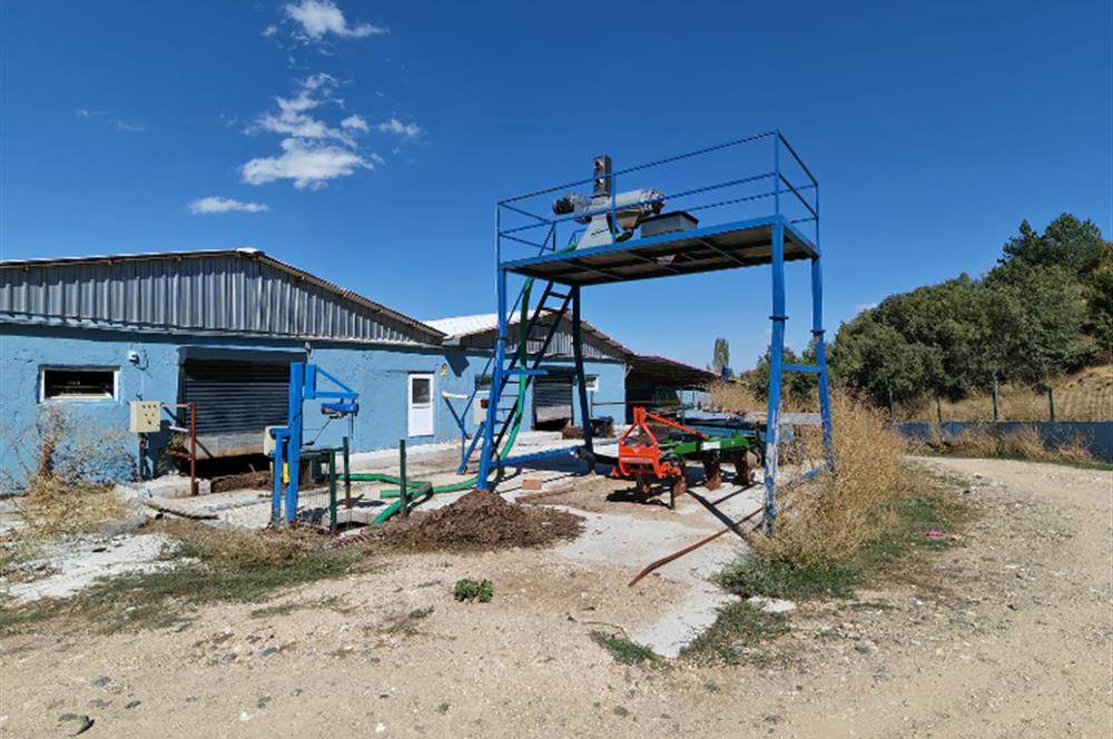 Complete Farm for Sale in Seki Village, Eskişehir