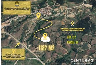 C21 NOVO'DAN OSMANGAZİ GÜNEYBUDAKLAR'DA 1.182 m2 TARLA