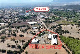 ACIPAYAM YAZIR MAHALLESİ'NDE 7858m² SATILIK HAZIR SİSTEM ÇİFTLİK