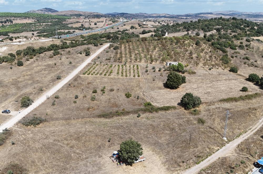 C21 BAL'DAN BALIKESİR-EDREMİT ANAYOLA CEPHE SATILIK ARSA