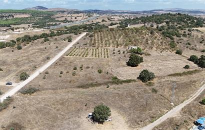 C21 BAL'DAN BALIKESİR-EDREMİT ANAYOLA CEPHE SATILIK ARSA