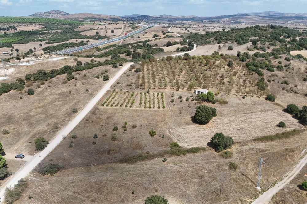 C21 BAL'DAN BALIKESİR-EDREMİT ANAYOLA CEPHE SATILIK ARSA