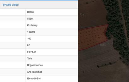 BİLECİK SÖĞÜT KIZILSARAY SATILIK TARLA