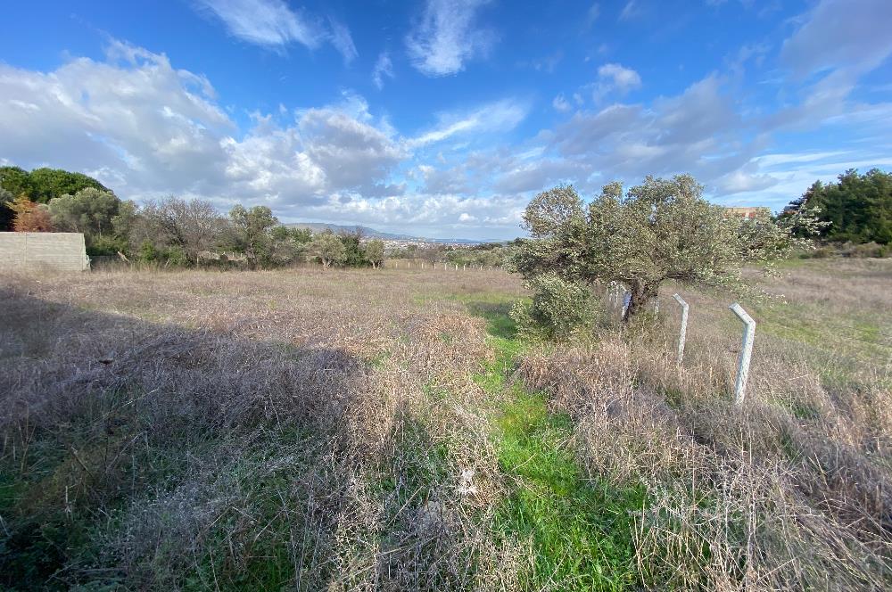 Urla Keklıktepe satılık denız manzaralı arazı