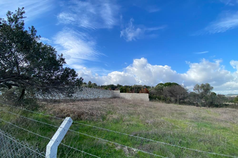 Urla Keklıktepe satılık denız manzaralı arazı