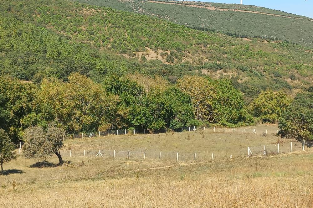 C.21LOCA'DAN KARESİ YENİKÖYDE SATILIK 4208 M2 MÜKEMMEL TARLA